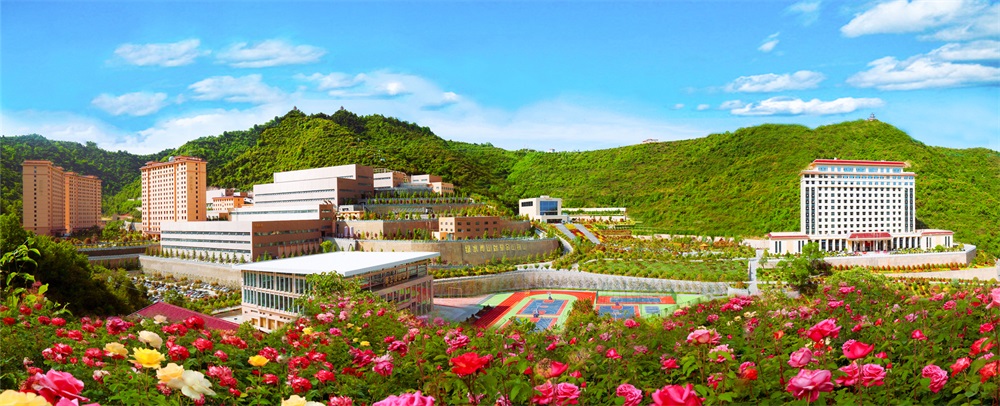 三季有花、四季常青的金徽礦區(qū)-p2.jpg