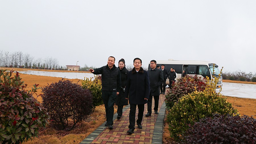 45-2020年12月，省高級人民法院黨組成員、副院長任建國蒞臨金徽股份調(diào)研知識產(chǎn)權(quán)司法保護工作。.jpg